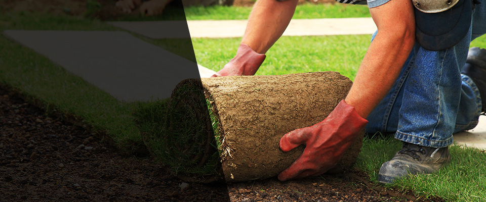 Franklinville Landscapers